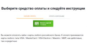как оплатить займер
