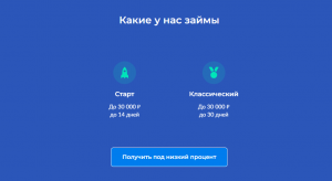 вебзайм о компании